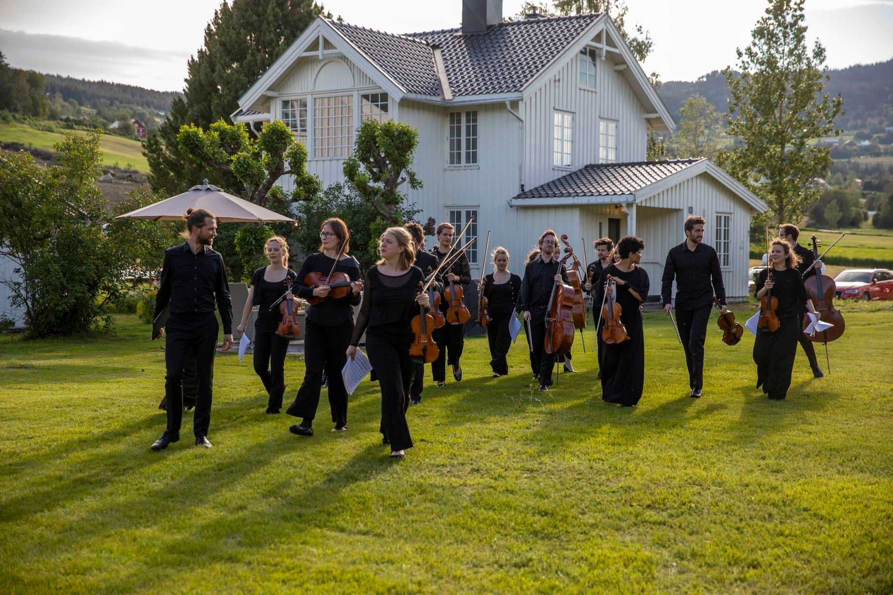 Group of classical musicians