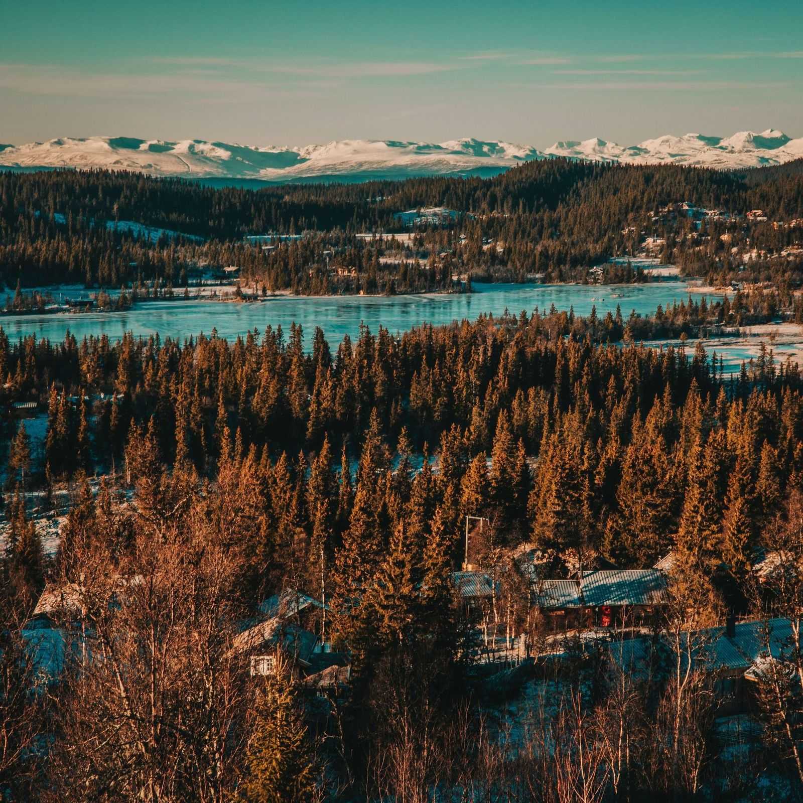 View